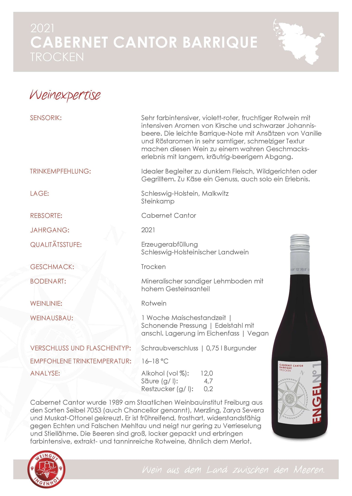 Cabernet Cantor Barrique | 2022 | trocken