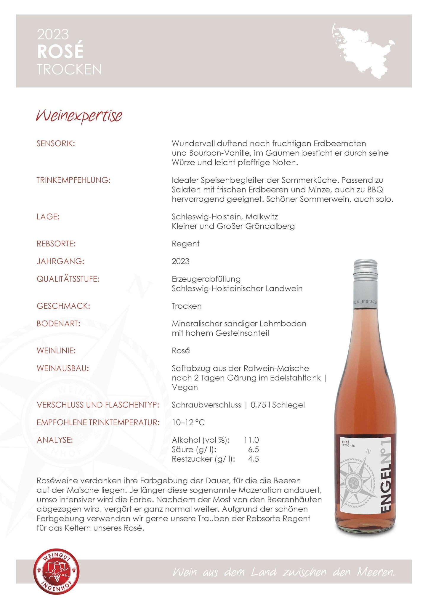Rosé | 2023 | trocken
