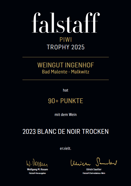 Veganer Piwi Wein aus roten Trauben Blanc de Noir aus der Rebsorte Cabernet Cortis, trocken ausgebaut auf dem Weingut Ingenhof in Schleswig- Holstein, dem größten Weingut im Norden Deutschlands. Falstaff prämiert.