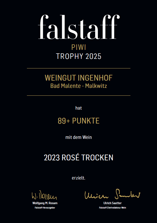 Rosé | 2023 | trocken
