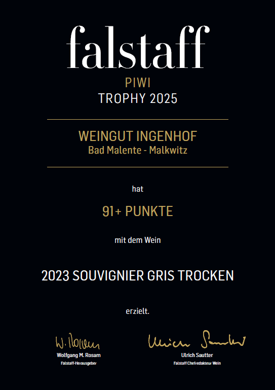 Souvignier Gris | 2023 | trocken