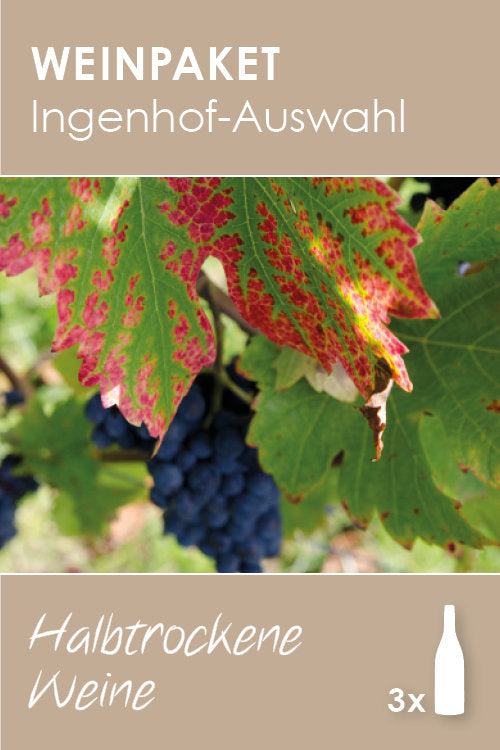 Ingenhof-Auswahl: Halbtrockene Weine