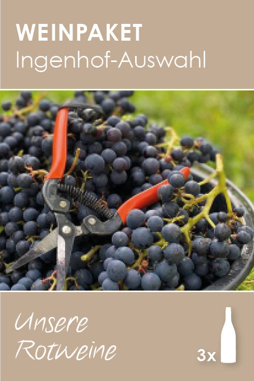 Ingenhof-Auswahl: Unsere Rotweine