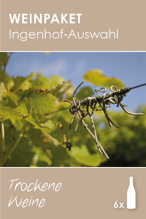 Ingenhof-Auswahl: Trockene Weine