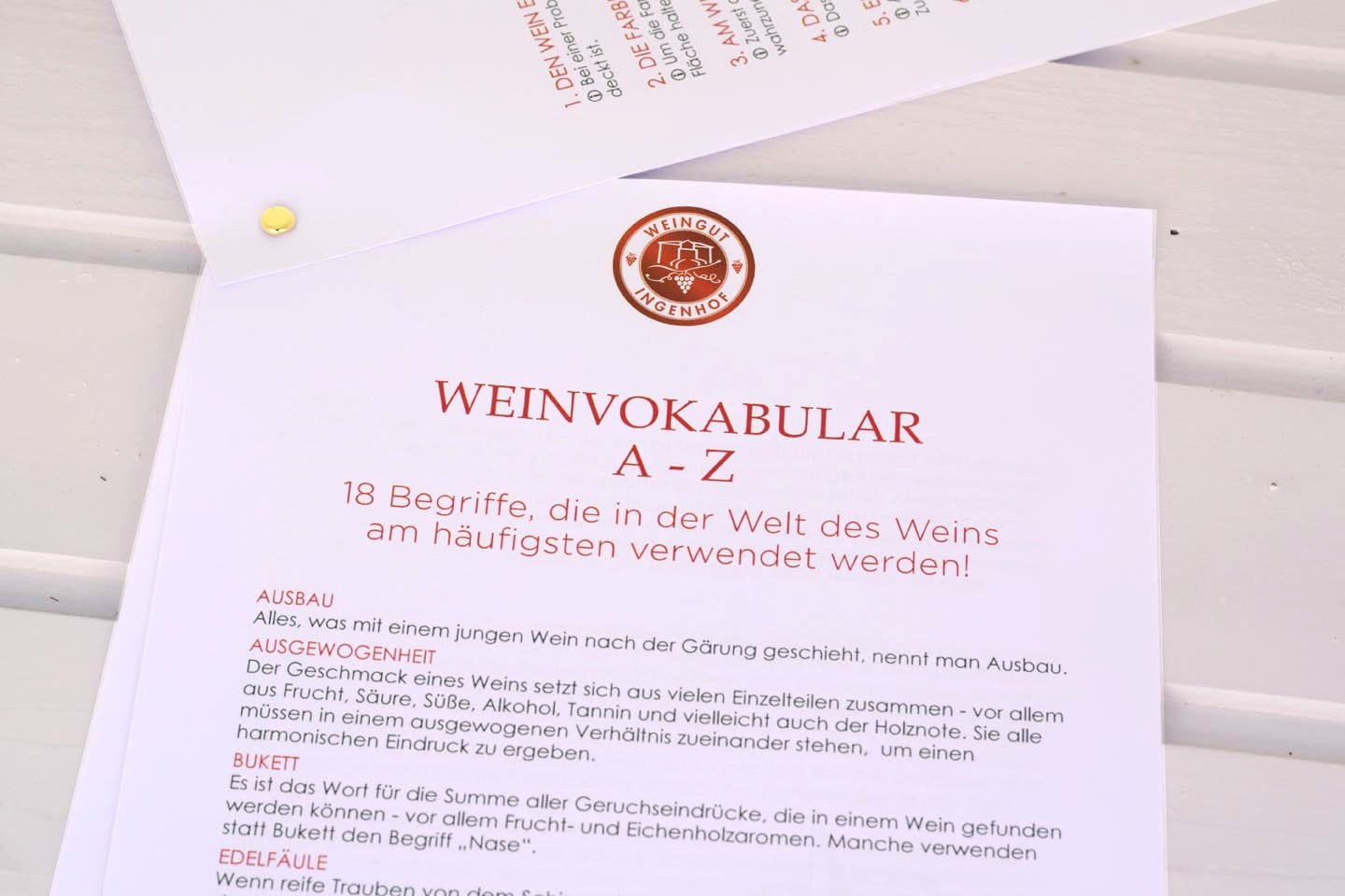 Vegane Piwi- Weinprobe für Zuhause mit Weißweinen vom Weingut Ingenhof in Schleswig- Holstein. Ein genußvolles Geschenk für Weinliebhaber in unserem Onlineshop oder der Weinremise.