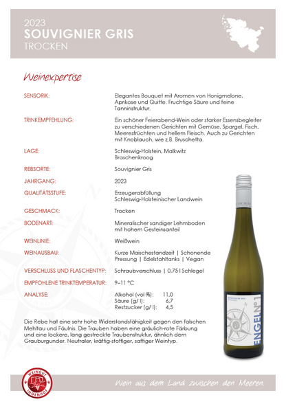 Souvignier Gris | 2023 | trocken