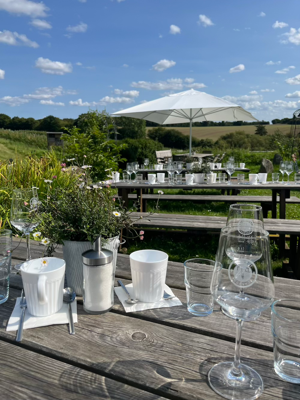 Kaffeetrinken und Weinprobe im Feldcafé vom Obst- und Weingut Ingenhof