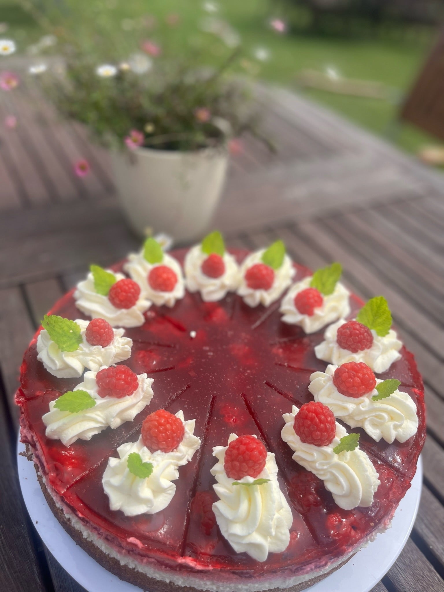 Kuchen und Torten selbst gebacken in unserem Feldcafé mitten in der Holsteinischen Schweiz