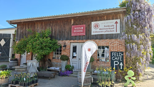 Weinremise- Hofladen auf dem Ingenhof in Malente- Malkwitz mit Wein, Essigen, Marmeladen, Erdbeeren, Himbeeren und Kartoffeln.