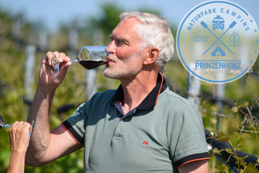 Vineyard tour including wine tasting