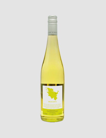 Veganer Weißwein halbtrocken vom Weingut Ingenhof in Schleswig- Holstein. Erzeugerabfüllung der PIWI Rebsorte Muscaris.