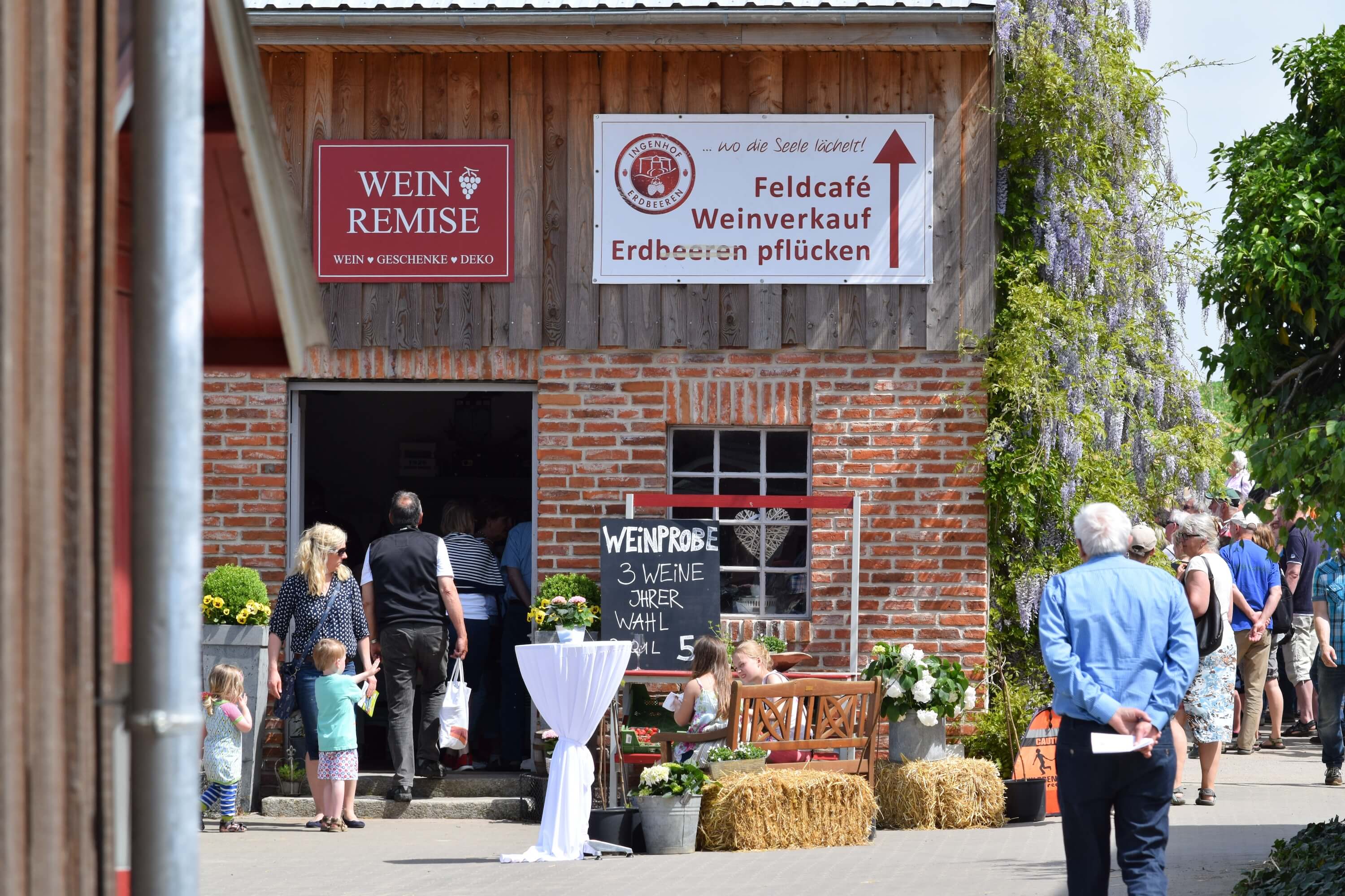 Einen Hofladen mit eigenen Hofprodukten und dem Wein aus Schleswig- Holstein gibt es auf dem Obst- und Weingut Ingenhof bei Malente.