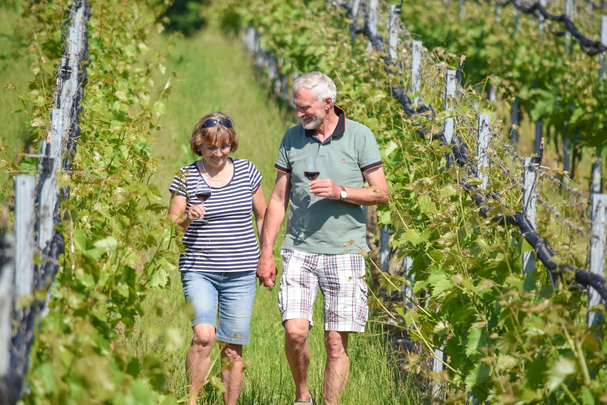 Weinbergführung auf dem Ingenhof- der perfekte Ausflug aufs Land in der Holsteinischen Schweiz